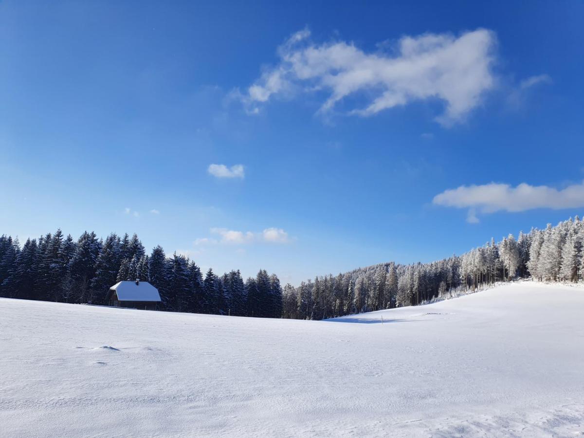 Ferienhaus-Schoenwald Im Herzen Des Schwarzwaldes 2-Zimmer-Maisonette-Wohnung Mit Balkon App 12 Exteriör bild